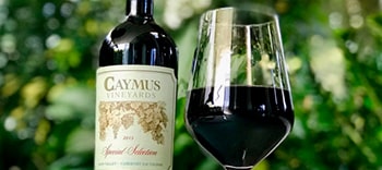 Brooklyn_Content_Bar_Menu_Caymus-min